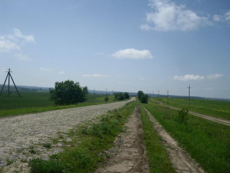 Черепова з panoramio.com - Черепова
