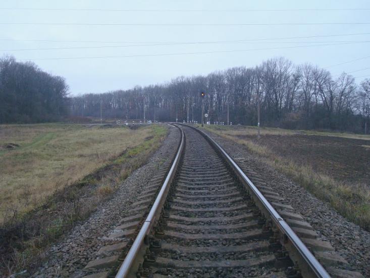Щиборівка з panoramio.com - Щиборовка