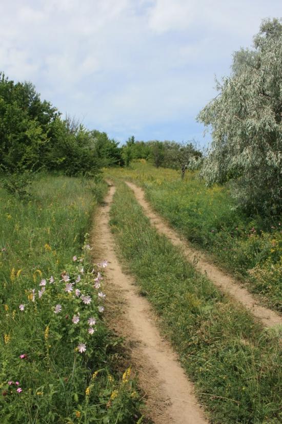 Григорівка з panoramio.com - Григорівка