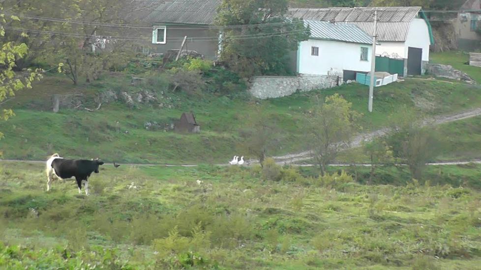 Кутківці з panoramio.com - Кутковцы