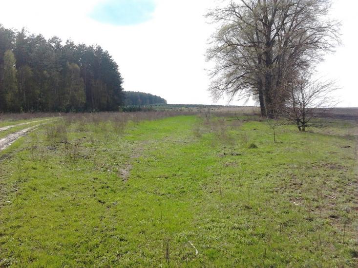 Долина з panoramio.com - Долина