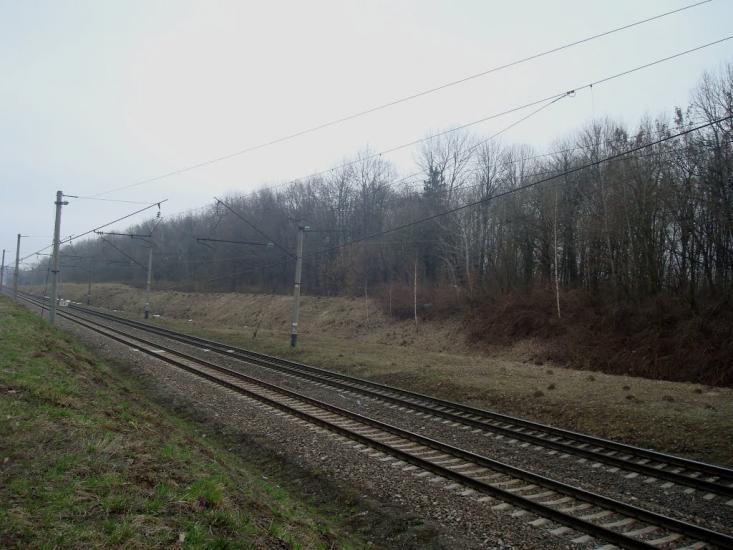 Стодульці з panoramio.com - Stodultsi