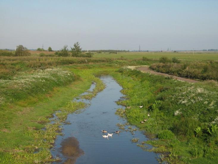 Заболоття з panoramio.com - Zabolottya