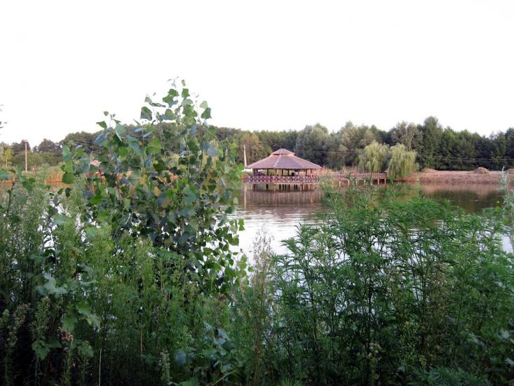 Вільхове з panoramio.com - Вільхове