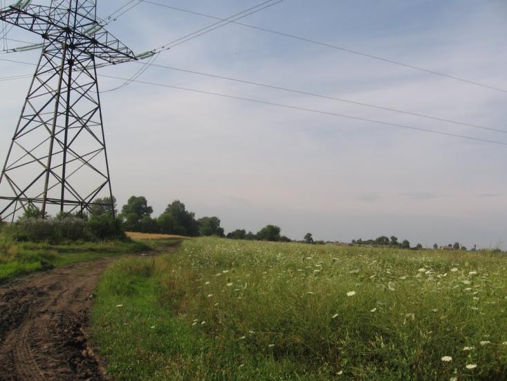 Петрушин з panoramio.com - Petrushyn