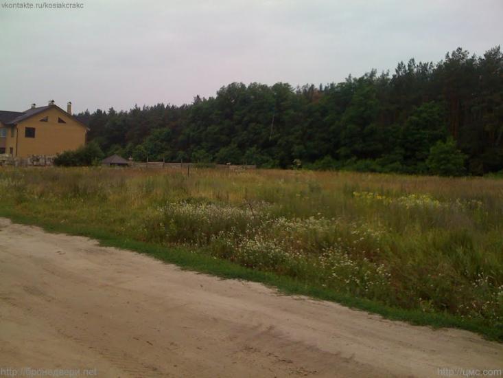 Лютіж з panoramio.com - Lyutizh