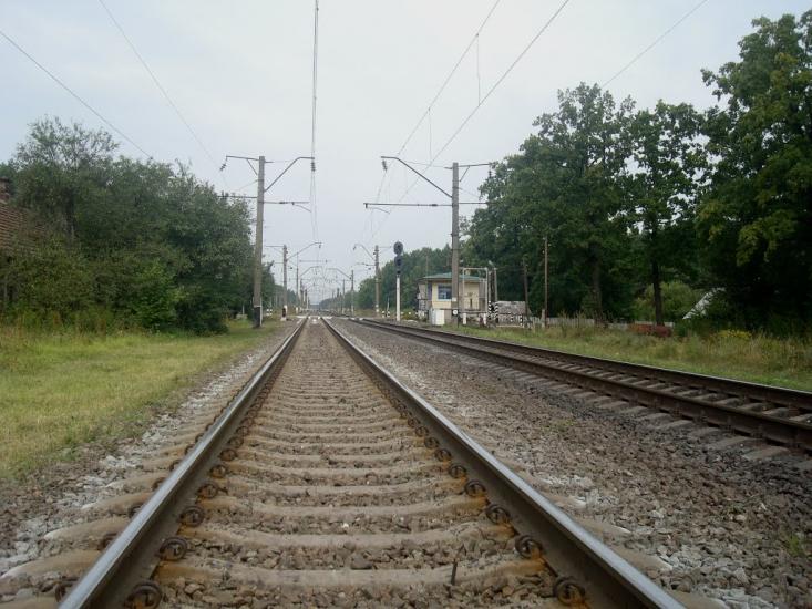 Цвітоха з panoramio.com - Цветоха