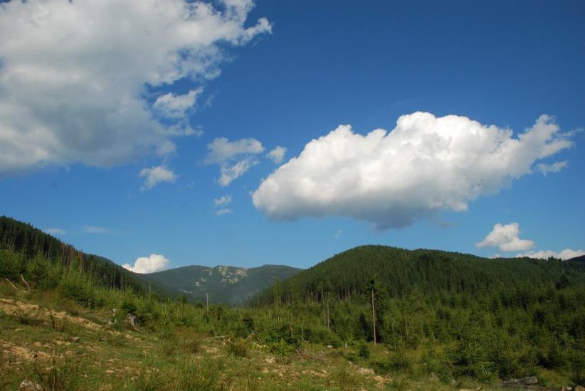 Бистриця з panoramio.com - Bystrytsya