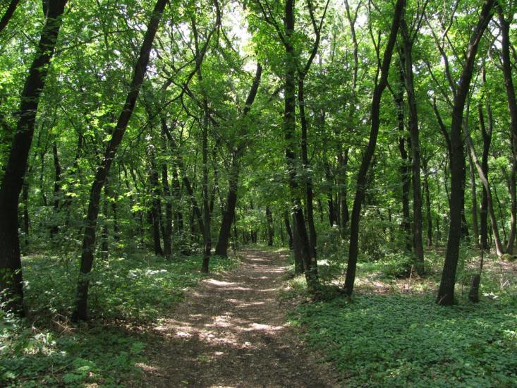 Усть-Лип'янка з panoramio.com - Усть-Лип'янка