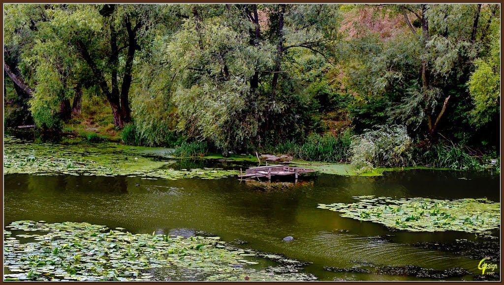 Прибузьке з panoramio.com - Прибугское