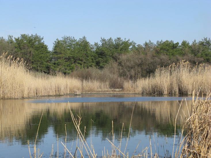 Олександрівка з panoramio.com - Олександрівка