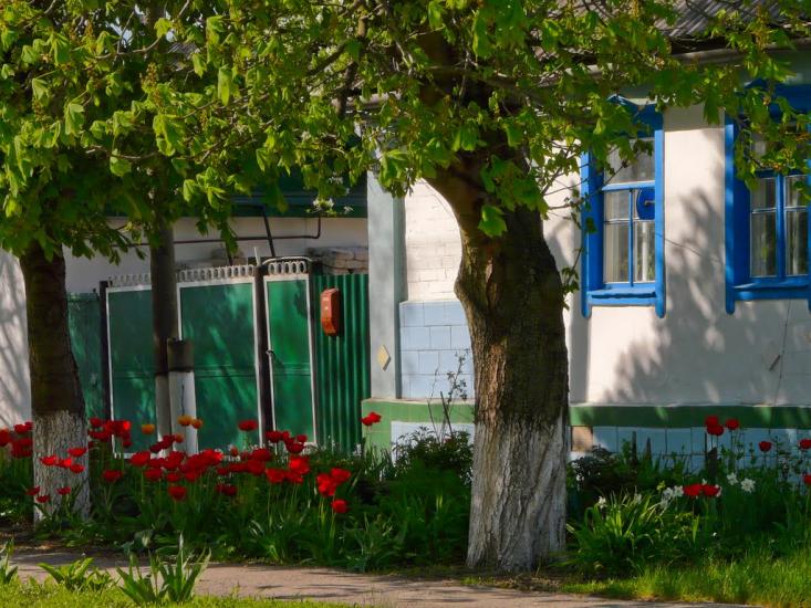 Слов'яносербськ з panoramio.com - Славяносербск