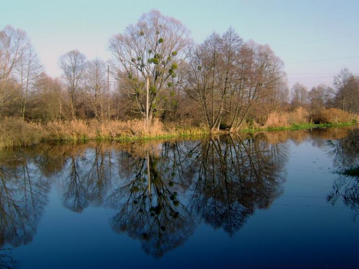 Миргороди з panoramio.com - Миргороди