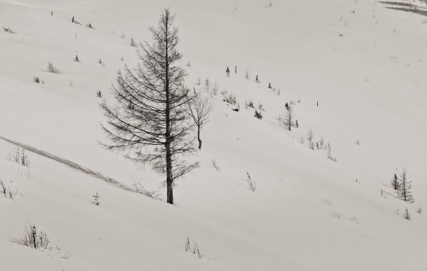 Черетів з panoramio.com - Черетов