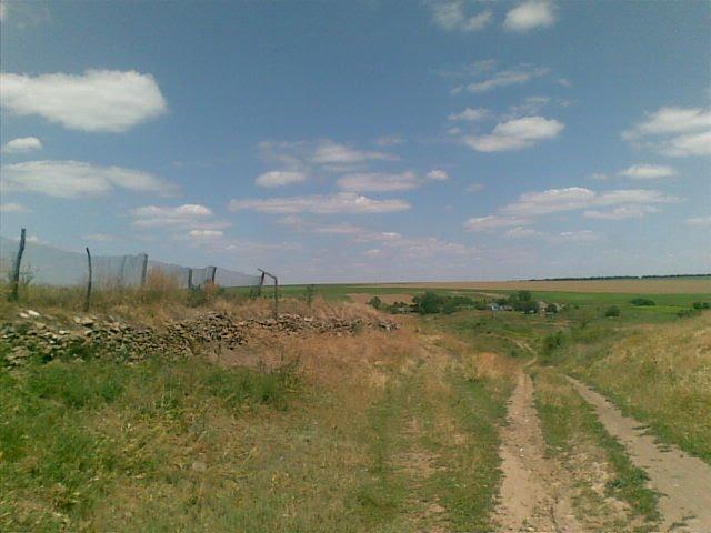 Любопіль з panoramio.com - Любополь