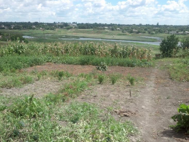 Казанка з panoramio.com - Kazanka