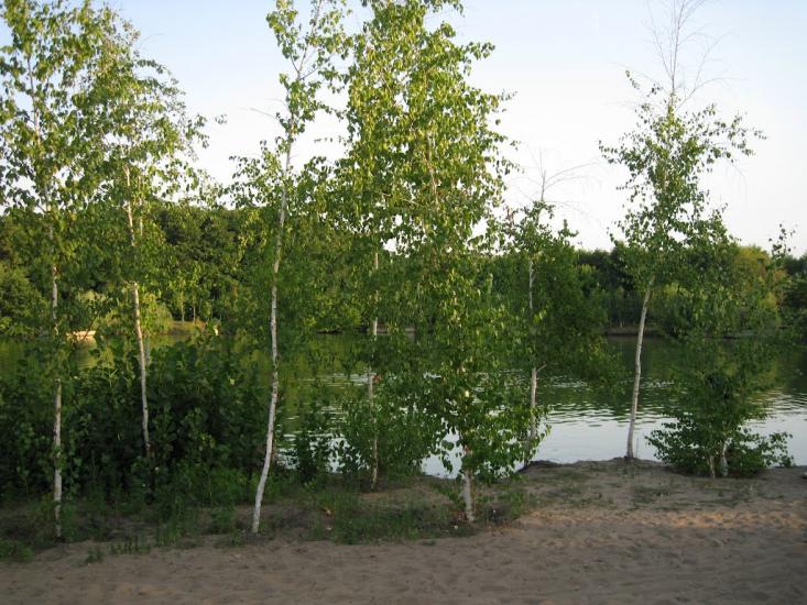 Вільхове з panoramio.com - Вільхове