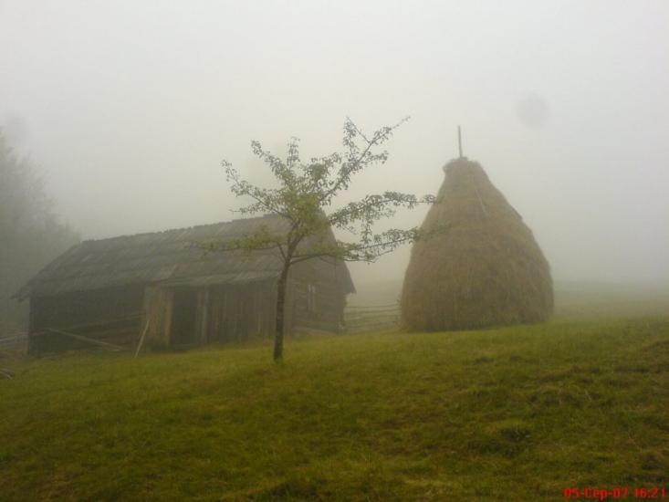 Кричка з panoramio.com - Кричка