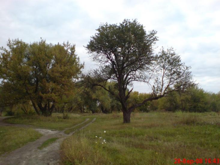 Сватове з panoramio.com - Svatove