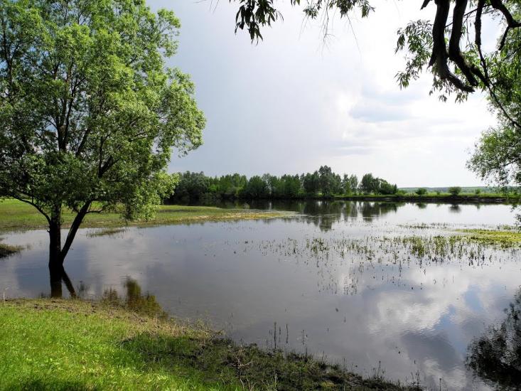 Мутин з panoramio.com - Mutyn