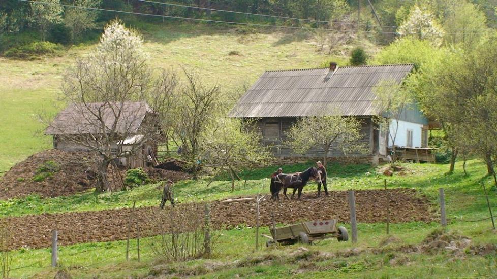 Розтоки з panoramio.com - Розтоки