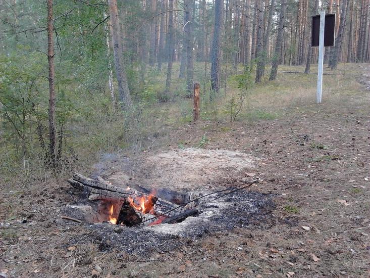 Долина з panoramio.com - Долина