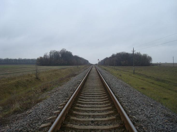 Воронківці з panoramio.com - Воронковцы
