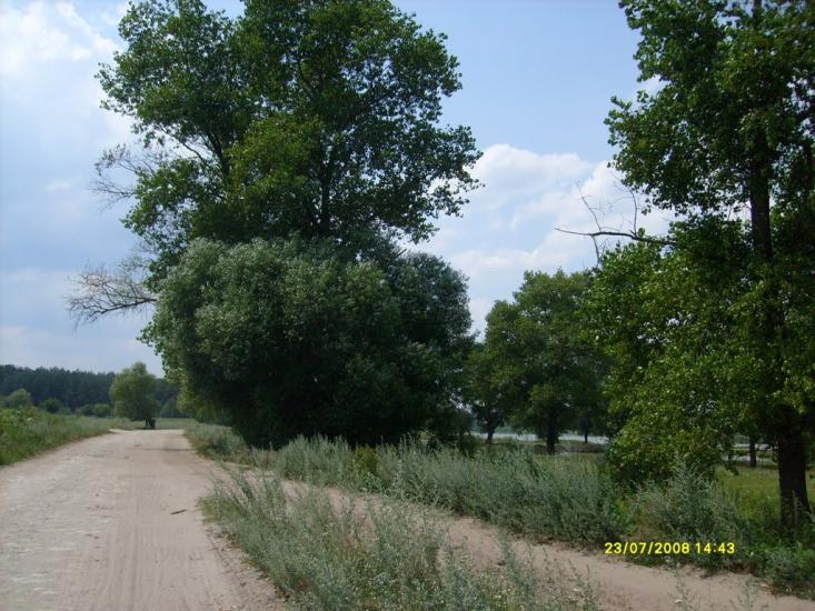 Слоут з panoramio.com - Слоут