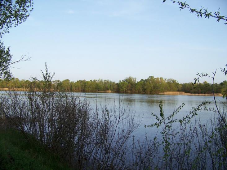 Самусіївка з panoramio.com - Самусіївка