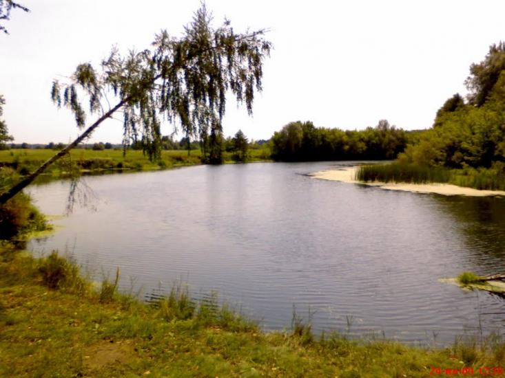 Межиріч з panoramio.com - Межирич