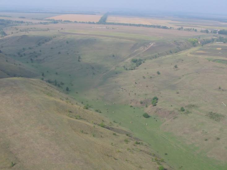 Заможнє з panoramio.com - Заможнє