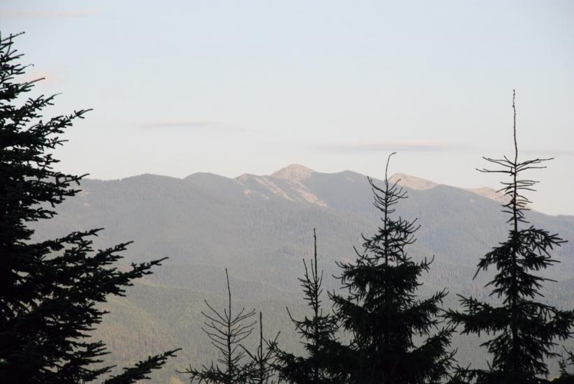 Згари з panoramio.com - Згари