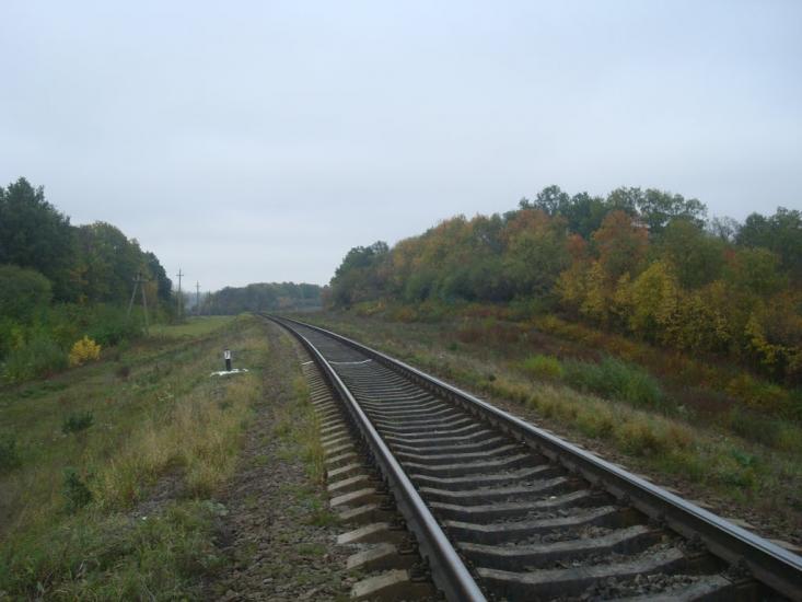 Буйволівці з panoramio.com - Буйволівці