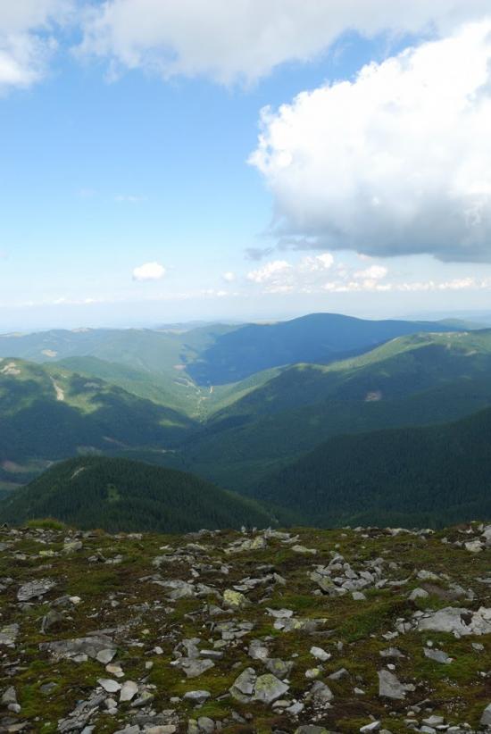Черник з panoramio.com - Черник