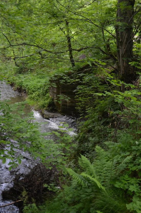 Ластівка з panoramio.com - Ластівка