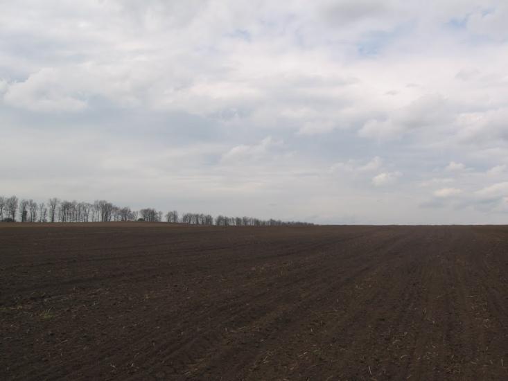Товстоліс з panoramio.com - Толстолес