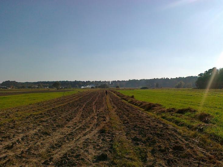 Новий Витків з panoramio.com - Новий Витків