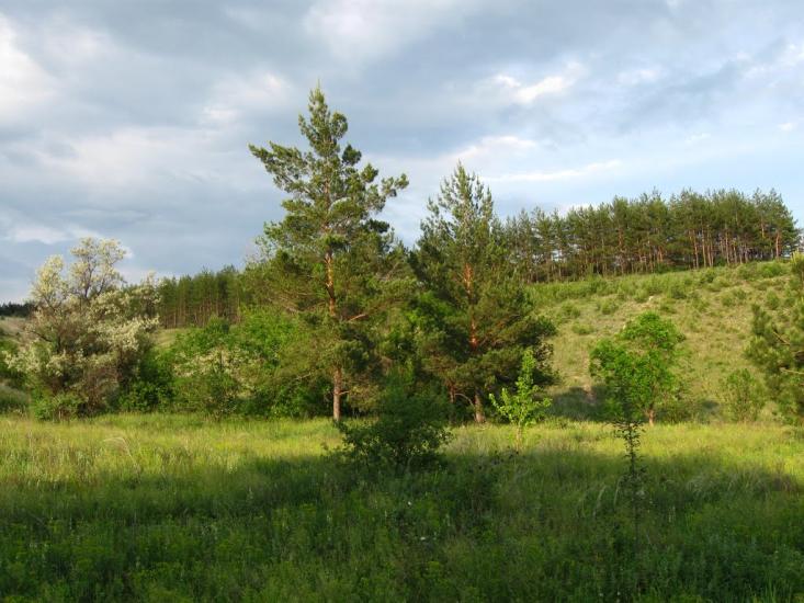 Біленьке з panoramio.com - Біленьке