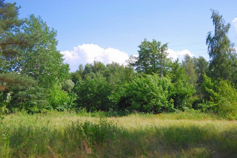 Миргороди з panoramio.com - Миргороды