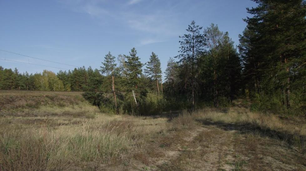 Ярова з panoramio.com - Яровая