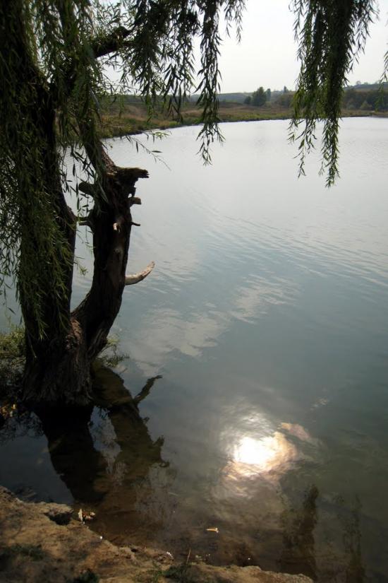 Біле з panoramio.com - Белое