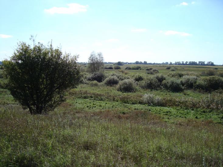 Русанів з panoramio.com - Русанов