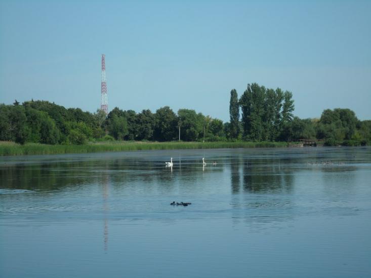 Сніжна з panoramio.com - Сніжна