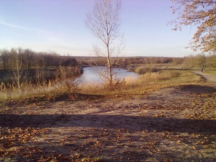 Новопилипівка з panoramio.com - Новопилиповка