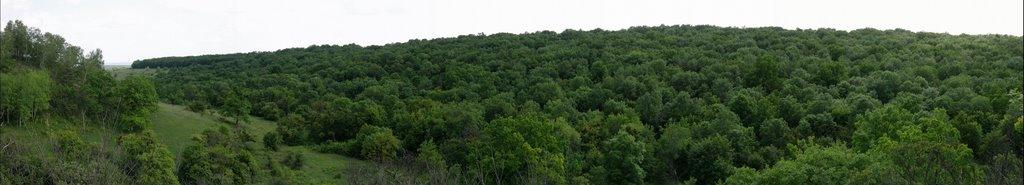 Пришиб з panoramio.com - Пришиб