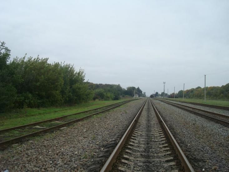 Красносілка з panoramio.com - Красноселка