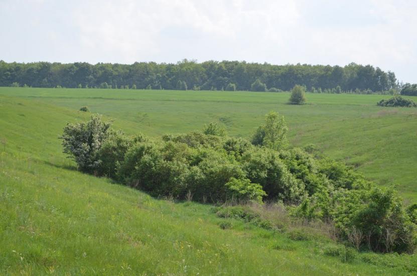 Болибоки з panoramio.com - Болибоки