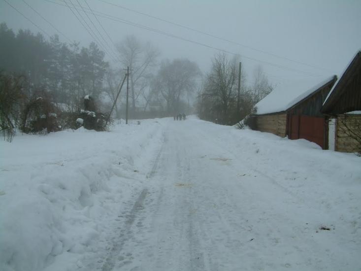 Рижики з panoramio.com - Рижики