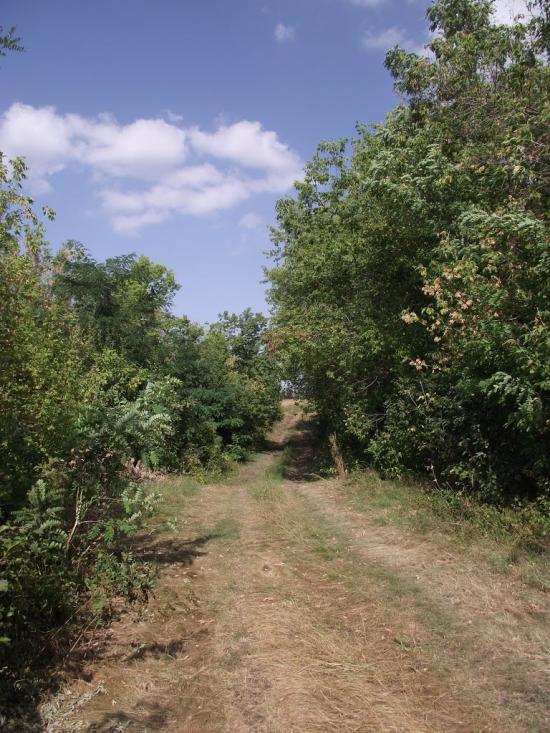 Старомар'ївка з panoramio.com - Старомарьевка
