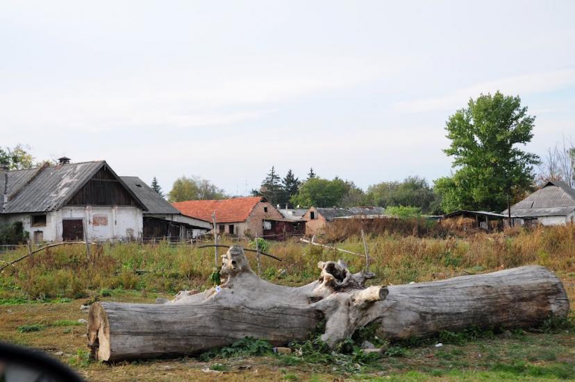 Тхорівка з panoramio.com - Тхоровка